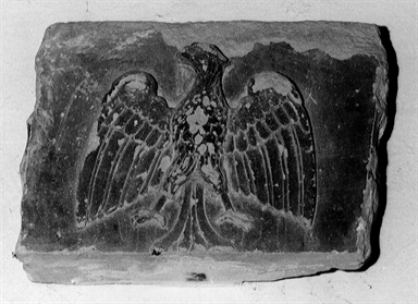 Aquila feltresca