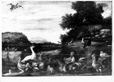 Paesaggio con volatili