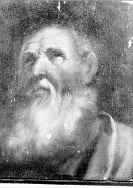 testa d'uomo anziano