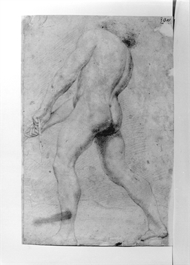 nudo di spalle (recto)/ studio di corpo umano (verso)