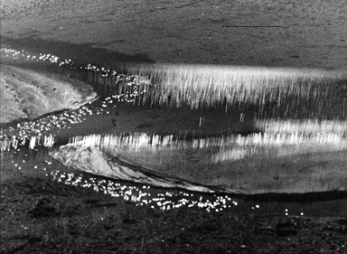 pozzanghera sulla spiaggia