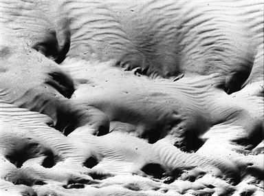 dune
