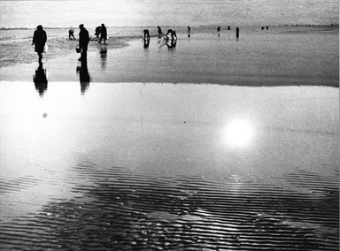 donne chine sulla bassa marea