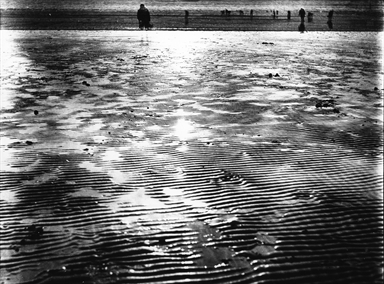 Bassa marea e pescatrici