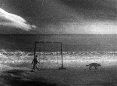passeggiata col cane sulla spiaggia
