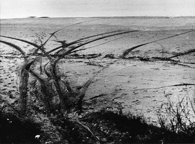 Mare Adriatico - spiaggia - sabbia - segni