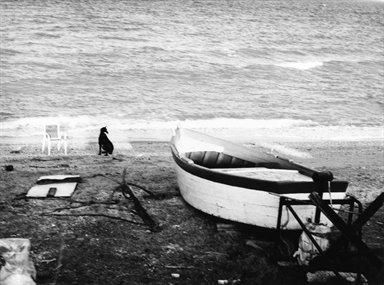 Barca cane e sedia sulla spiaggia