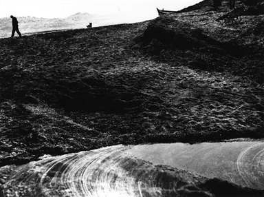 uomo e cane sulla spiaggia in lontananza