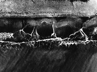 il mare, vista dall'alto