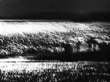 uomini tra i riflessi