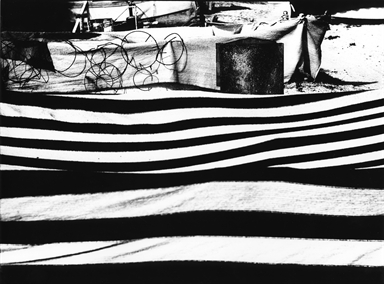 Barche coperte