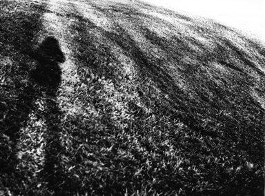 ombra del fotografo a terra