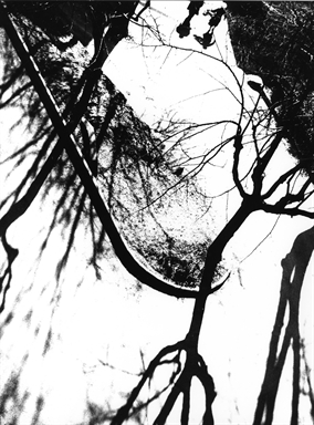 due persone in una via assolata