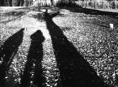 Persone - alberi - ombre a terra