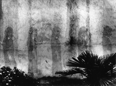 donna ripetuta cinque volte nel giardino