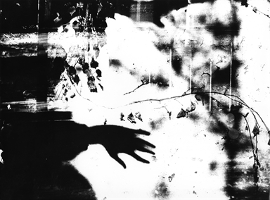 ombra di mano di donna