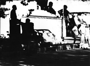 Bocciodromo all'ombra