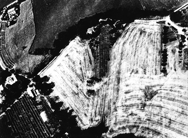 segni del trattore sul campo