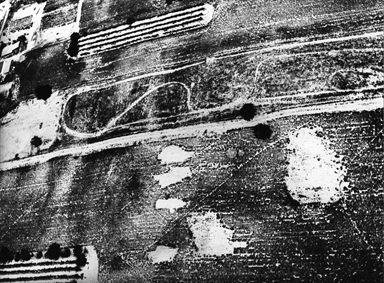 segni dei trattori sui campi