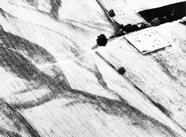 ombre sui campi chiari mietuti