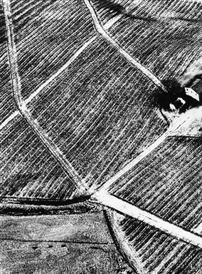 l'intreccio di strade tra i campi arati