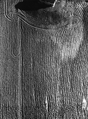 i segni del trattore