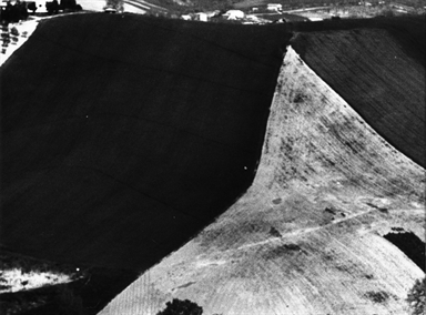 campo mietuto triangolare