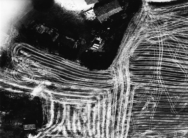 i segni del trattore