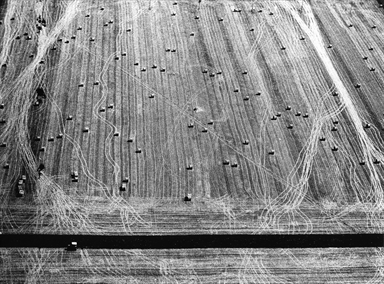 linea nera della strada sotto il campo di covoni