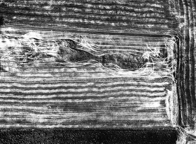 i segni della terra e del trattore