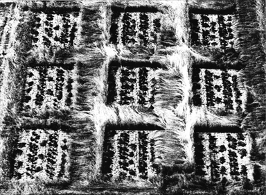 figure geometriche dei campi