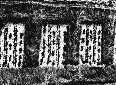 rettangoli di appezzamenti