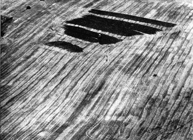 i segni del trattore