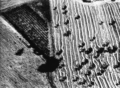 le figure geometriche dei campi