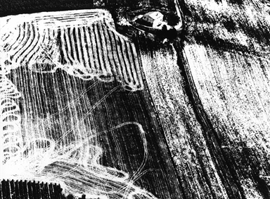 i segni sui campi mietuti