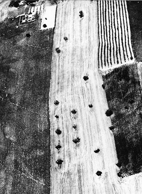 Appezzamenti di terreno