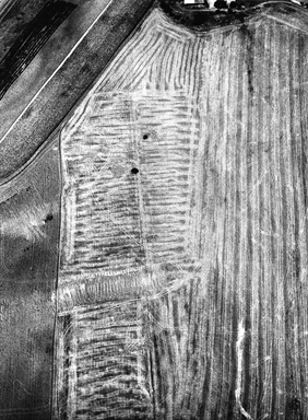 segni del trattore sul campo mietuto