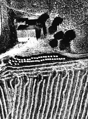 covoni sul campo mietuto