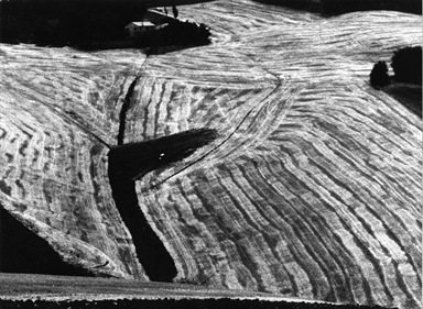 casa tra campi mietuti