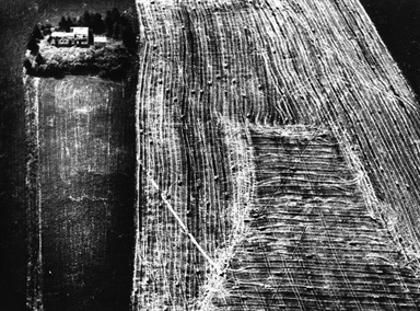 la casa circondata dagli alberi e campo di covoni