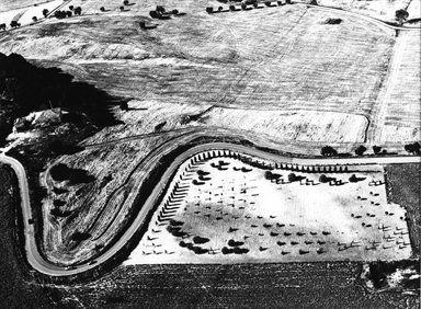 la strada e gli alberi tra i campi