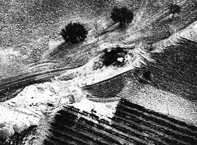 segni del trattore sul campo arato