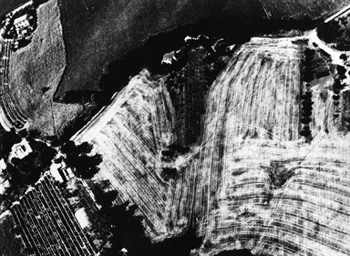 case tra campi coltivati e strade