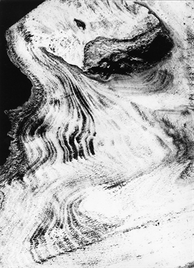 donna nella sezione dell'albero