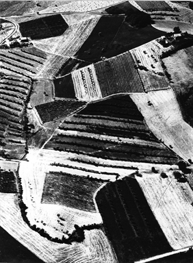 Appezzamenti di terreno