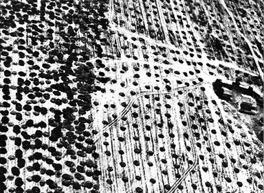 L'INFINITO. Di Giacomo Leopardi