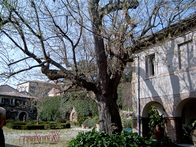 Giardino di Palazzo Mancinforte Serafini