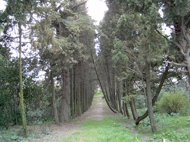 Giardino di Villa Monte Domini