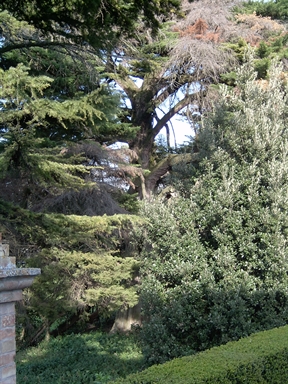Parco di Villa Spada Lavini