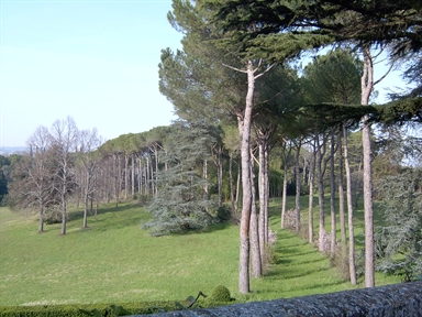 Parco di Villa Spada Lavini
